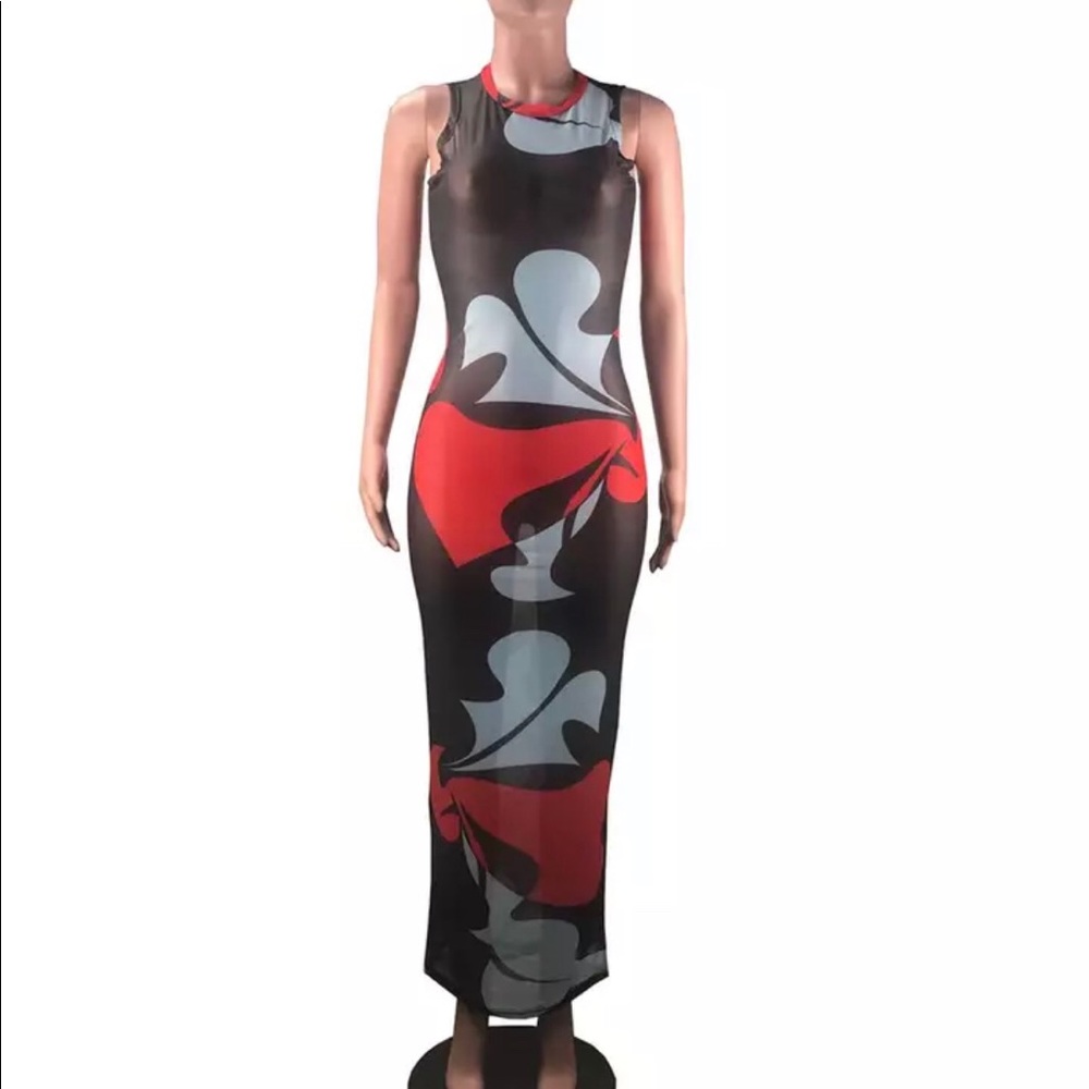 Stunning mesh see-through dress